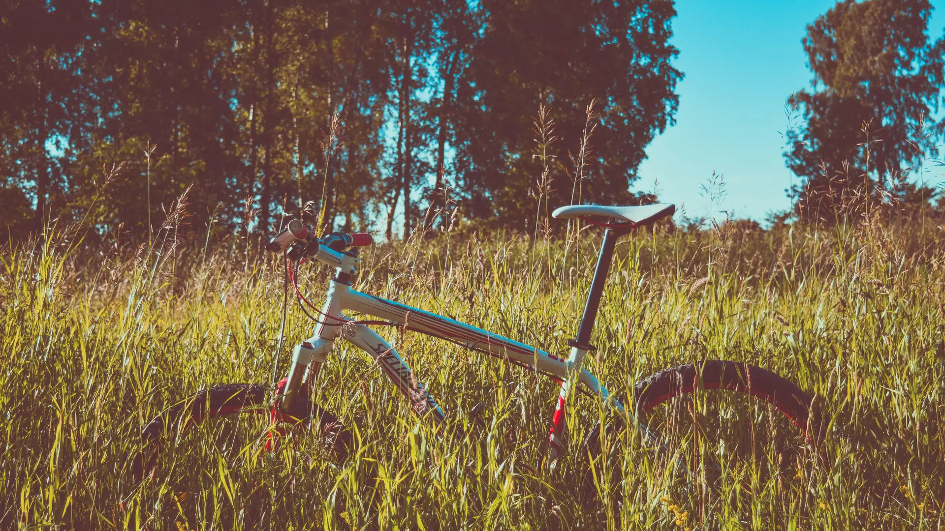 Fietsen Sydkustleden (kustroute Skåne)