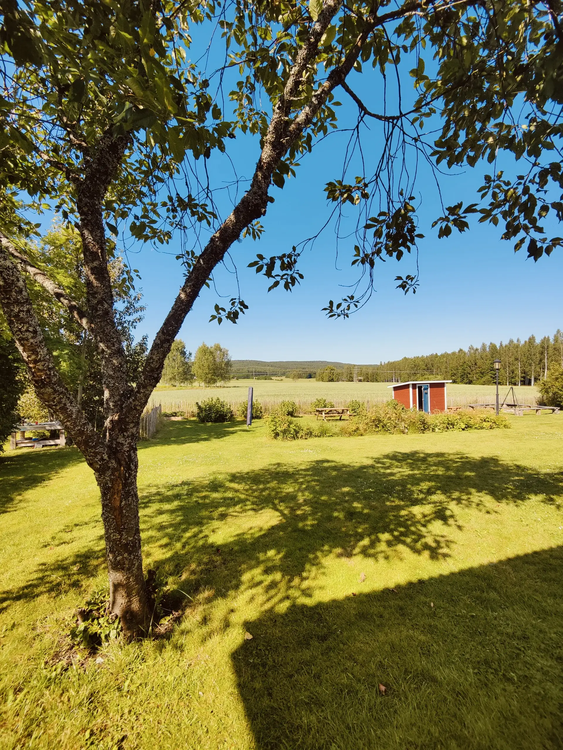 Glaskogen Apartments buitenaanzicht