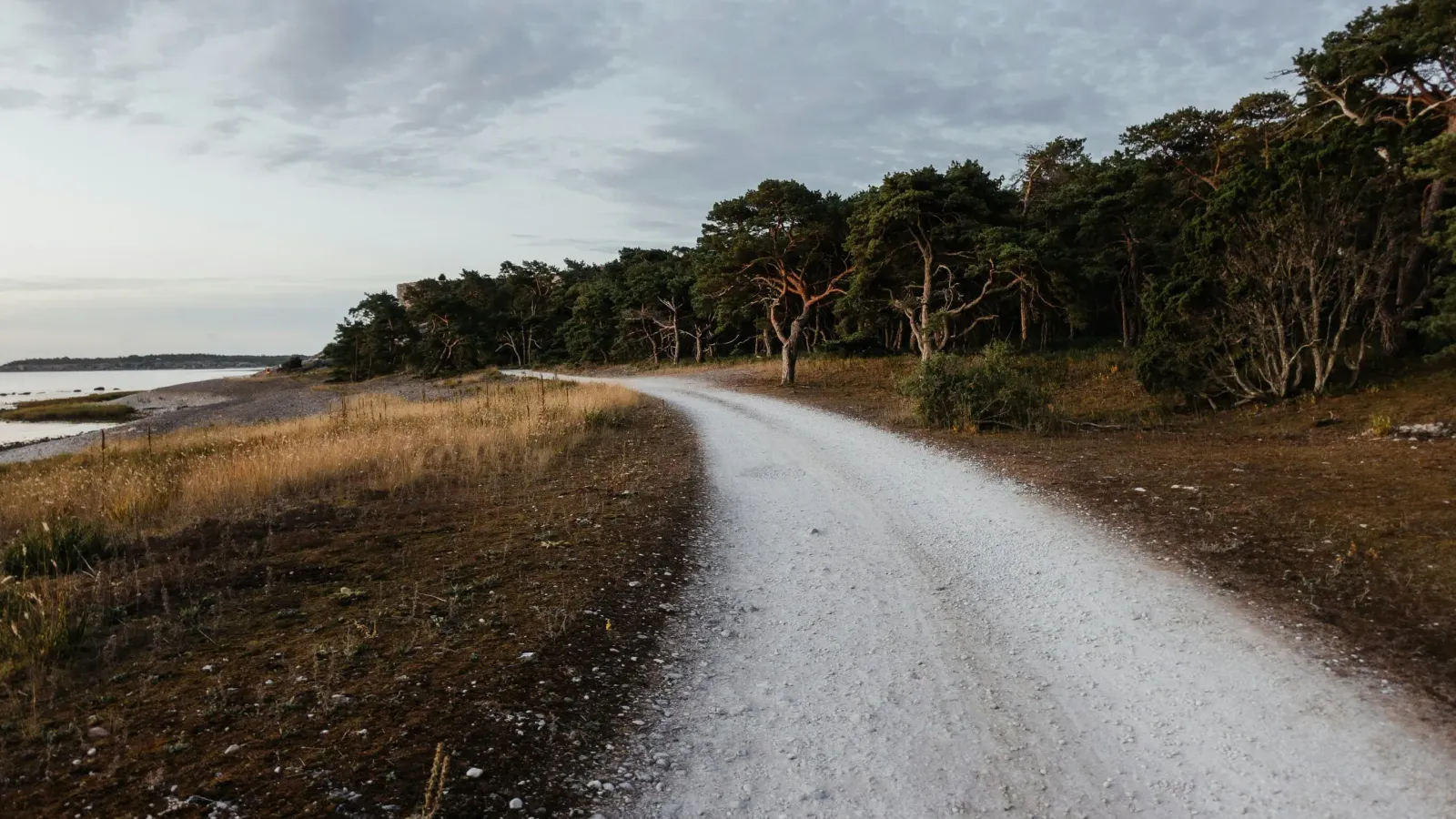 Gotland