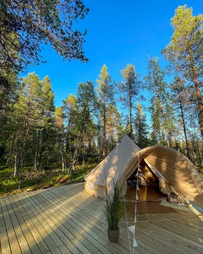 De glampingtent in het bos