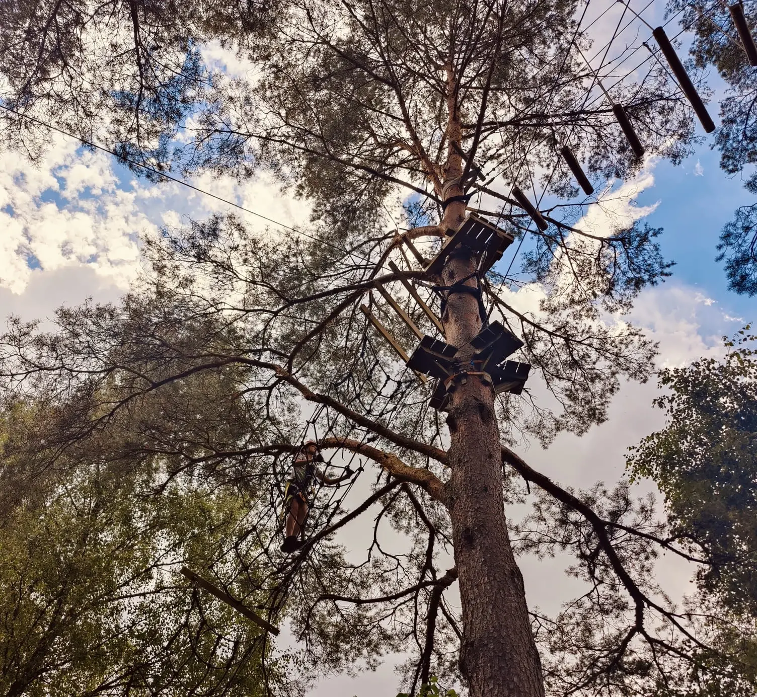 MultiLevel Ziplines en Klatterpark