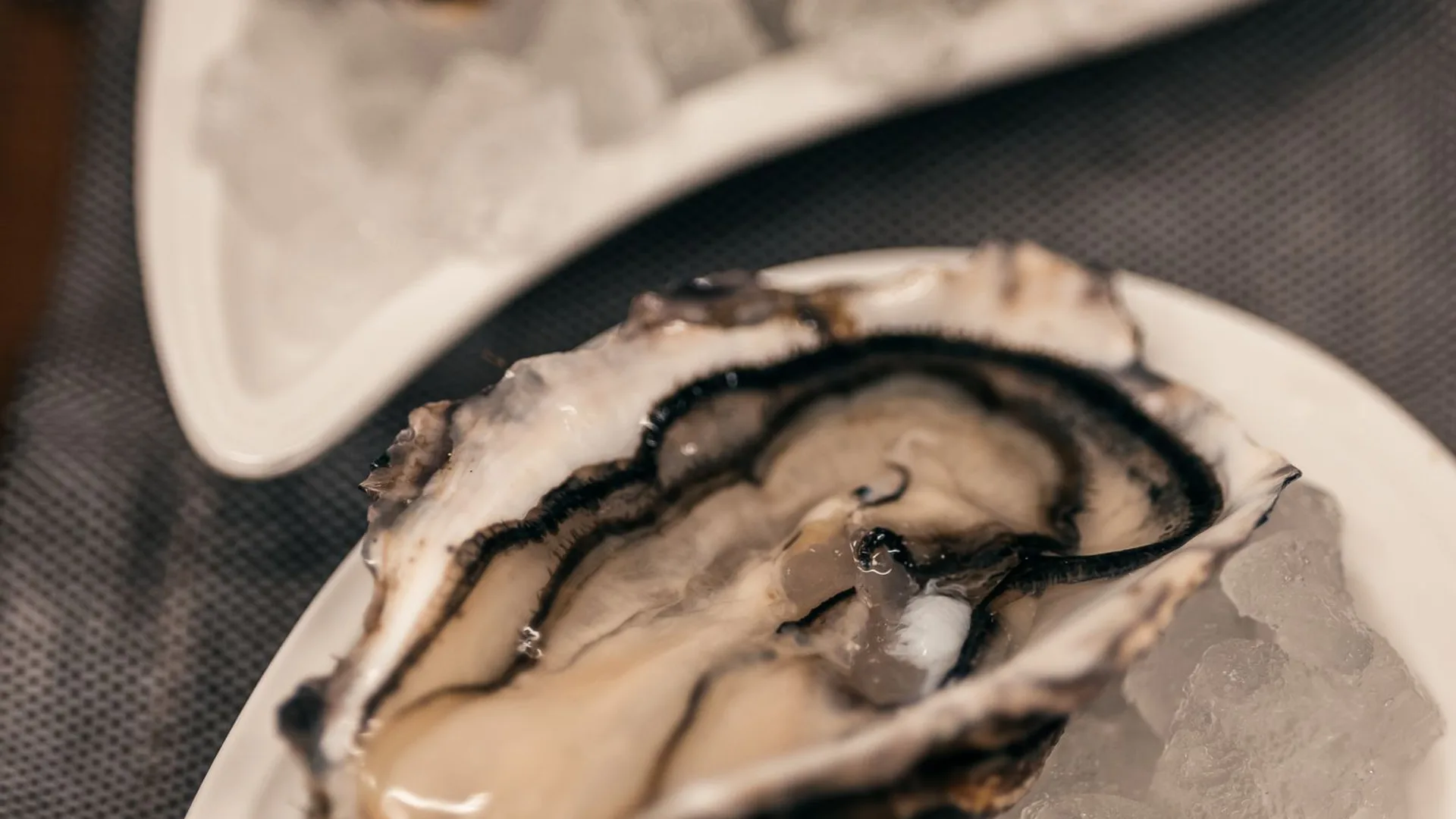 Oesters proeven in Grebbestad