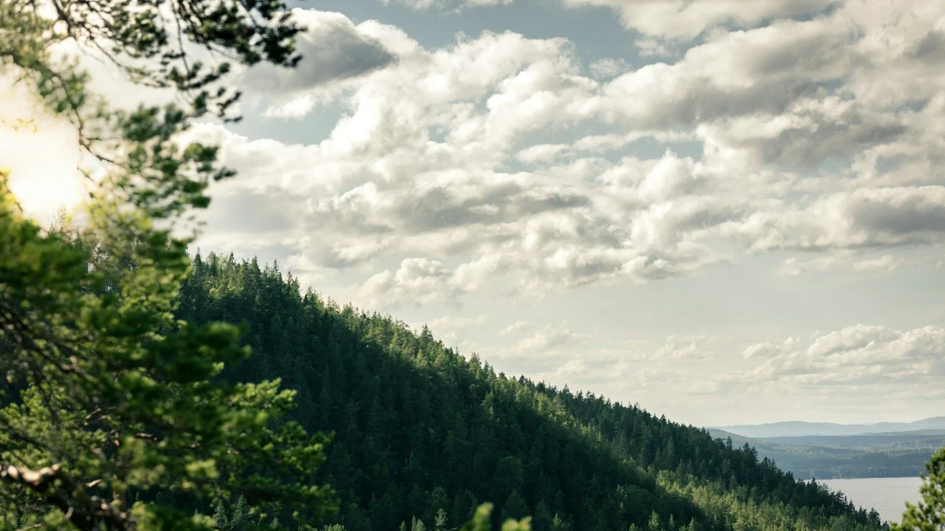 Wandeling naar Slåttdalsskrevan in Skuleskogen