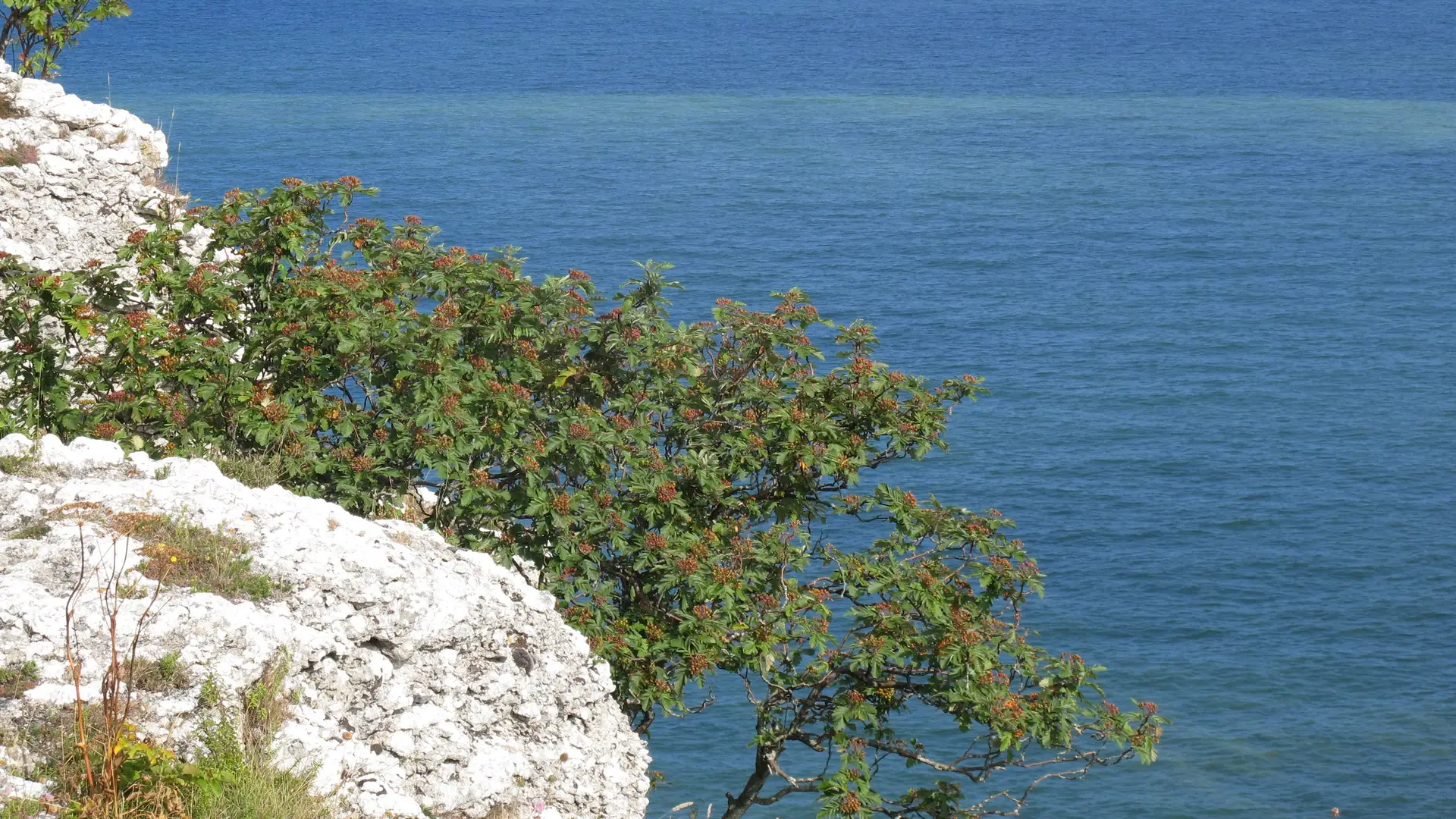 Sudersand strand (Fårö)