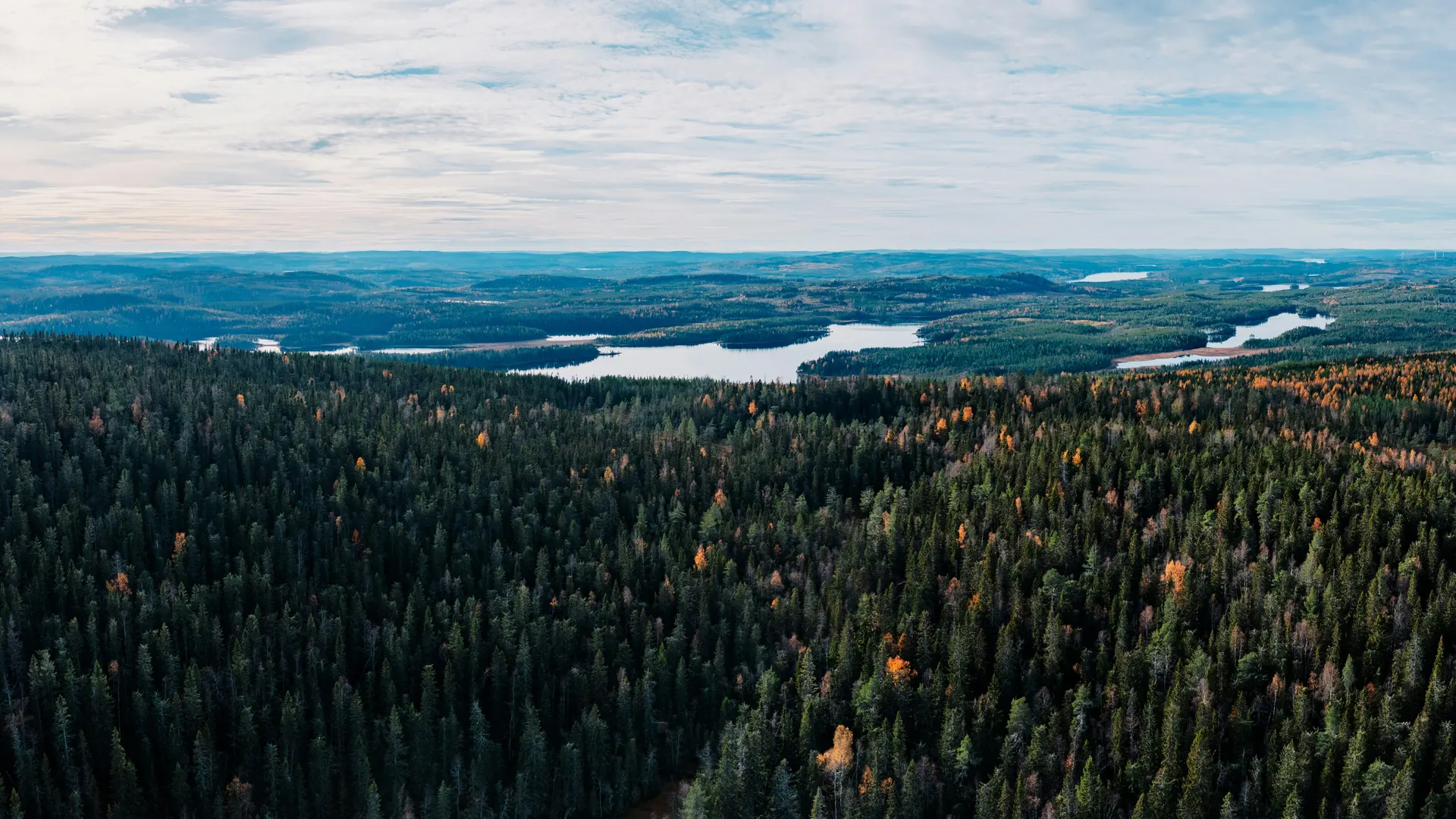 Zwemmen en kanoën op Smålandse meren